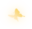 蝶
