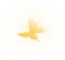蝶