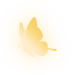 蝶