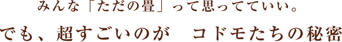 超すごいのがコドモたちの秘密